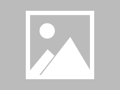 学礼仪（学礼仪的感受与心得）